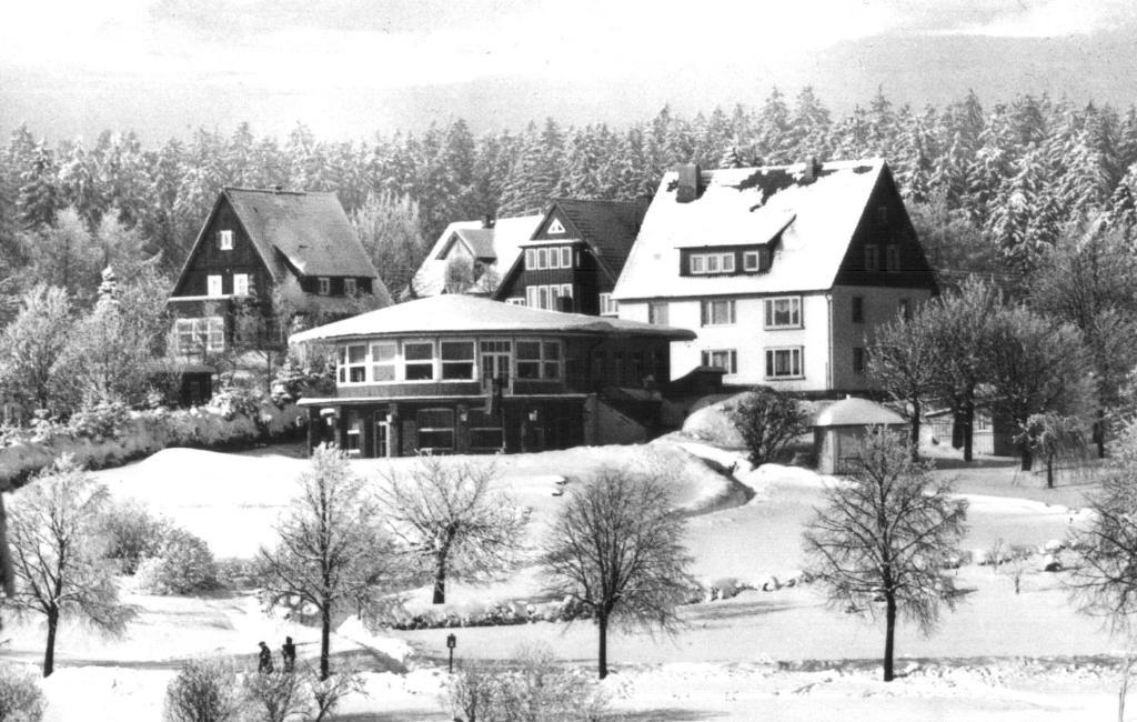 Dein Hotel - Goslar Hahnenklee Dış mekan fotoğraf
